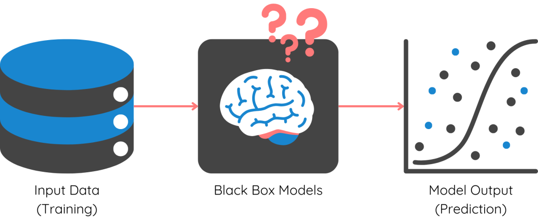 How black box models work