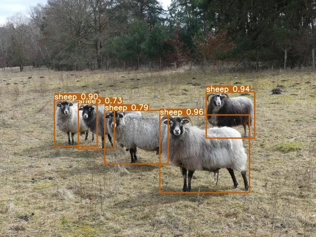Animal detection: Computer vision to detect sheeps with YOLOv7