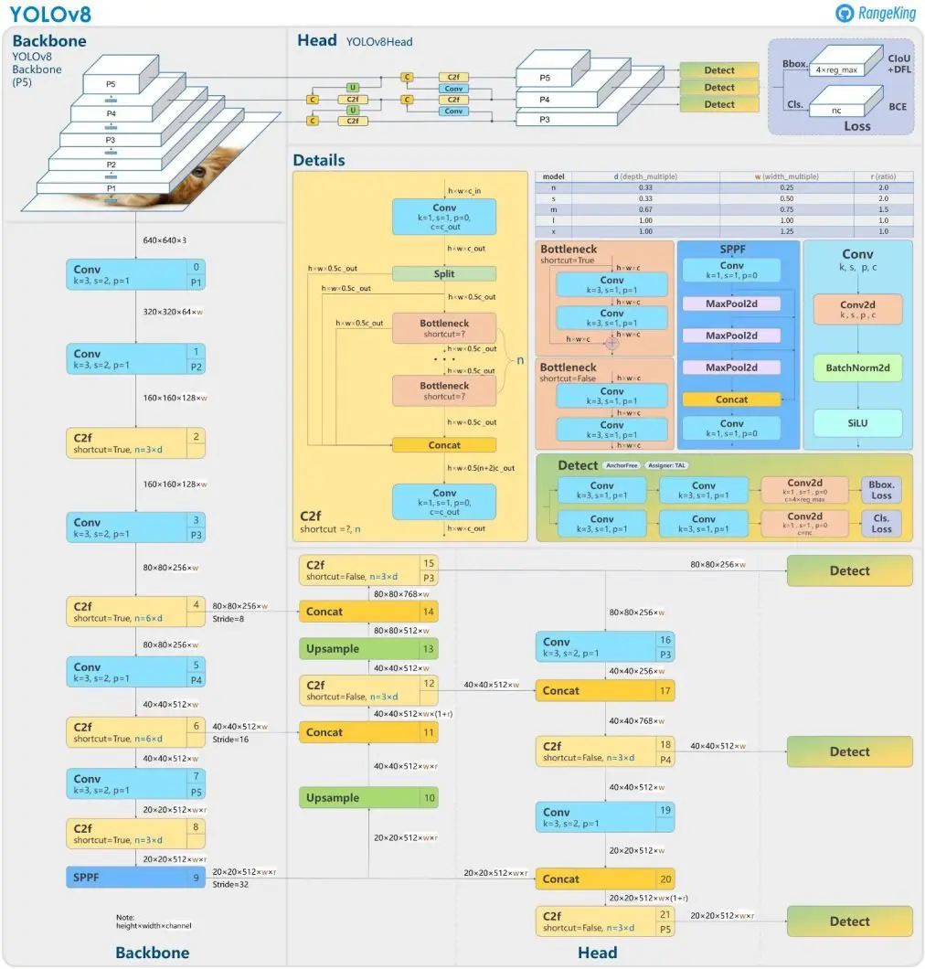 The official YOLOv8 architecture. 