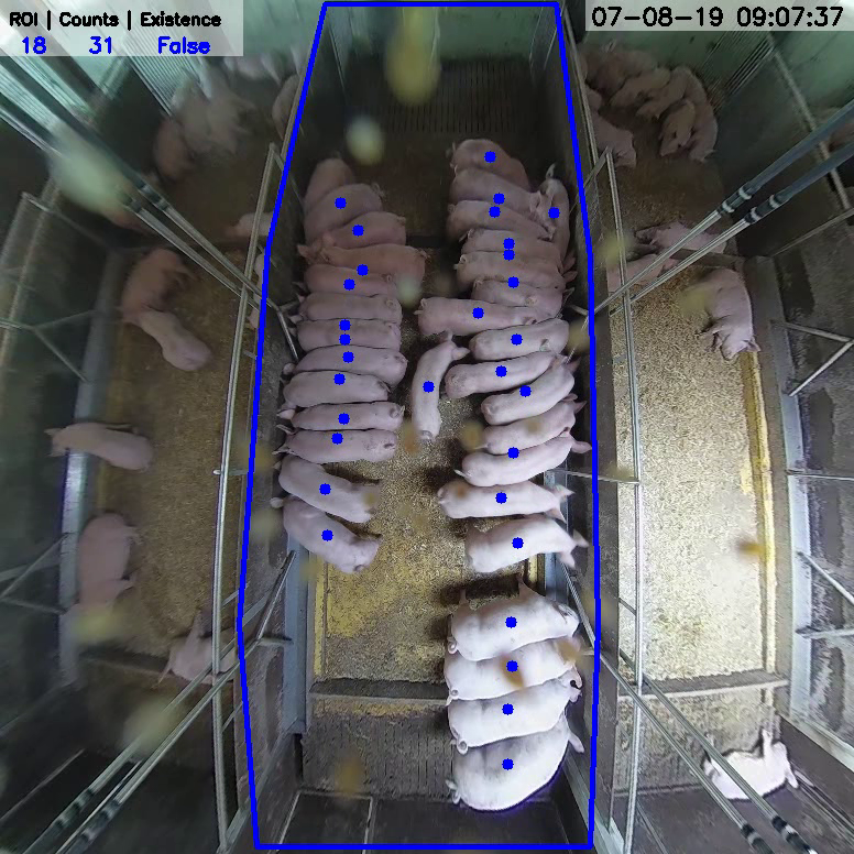 Computer Vision used in Livestock Farming