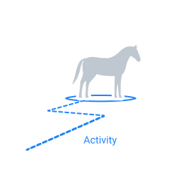 Animal Activity Tracking with Computer Vision