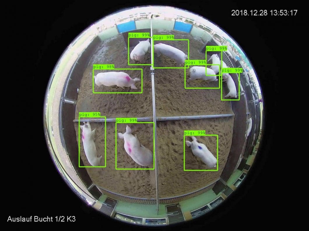 Computer vision in agriculture for animal monitoring