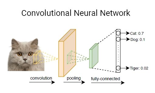 Type of Deep Neural Network: Convolution Neural Network