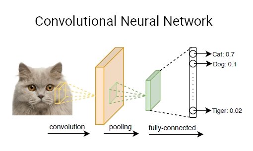 Deep neural network store example