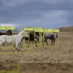 YOLOR Object detection algorithm for multi-task learning