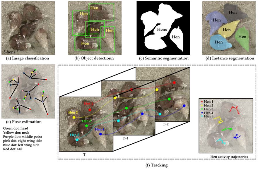 Different tasks of computer vision in agriculture