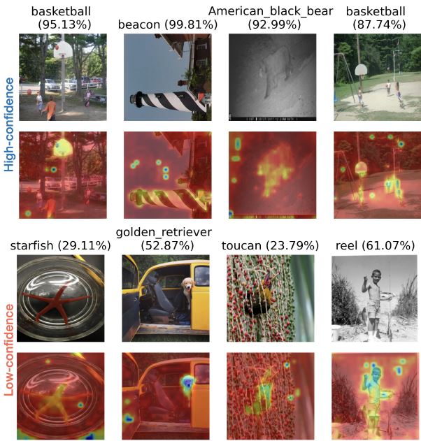 Visualization of attention maps of ViT on images from ImageNet-A