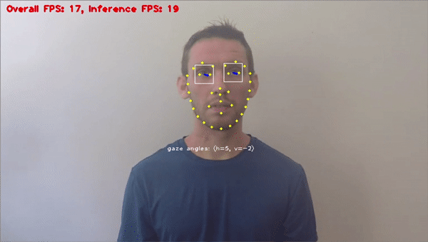 Gaze recognition with the OpenVINO framework