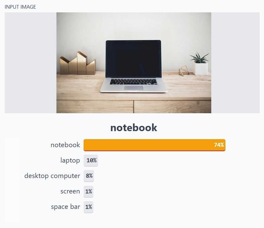 Example of image classification computer vision task