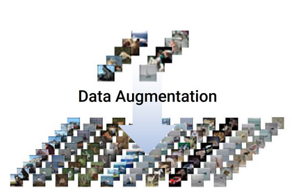 image dataset and data augmentation