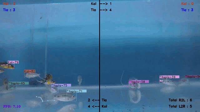 Fish population counting with computer vision