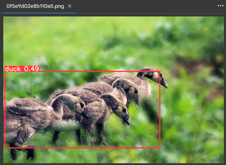 The output of object detection being run on YOLOv8.