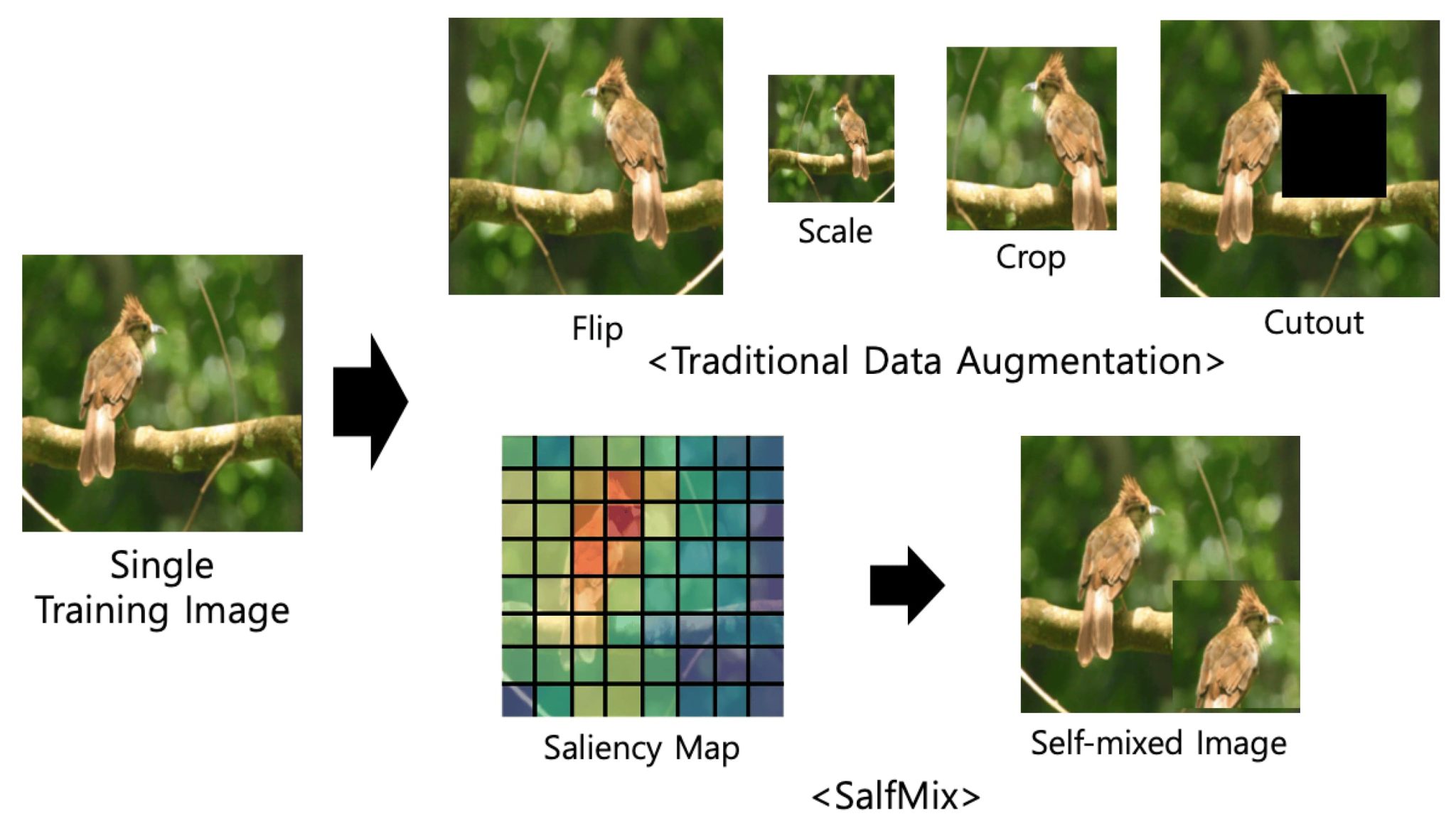 SalfMix proposed data augmentation techniques using a saliency map