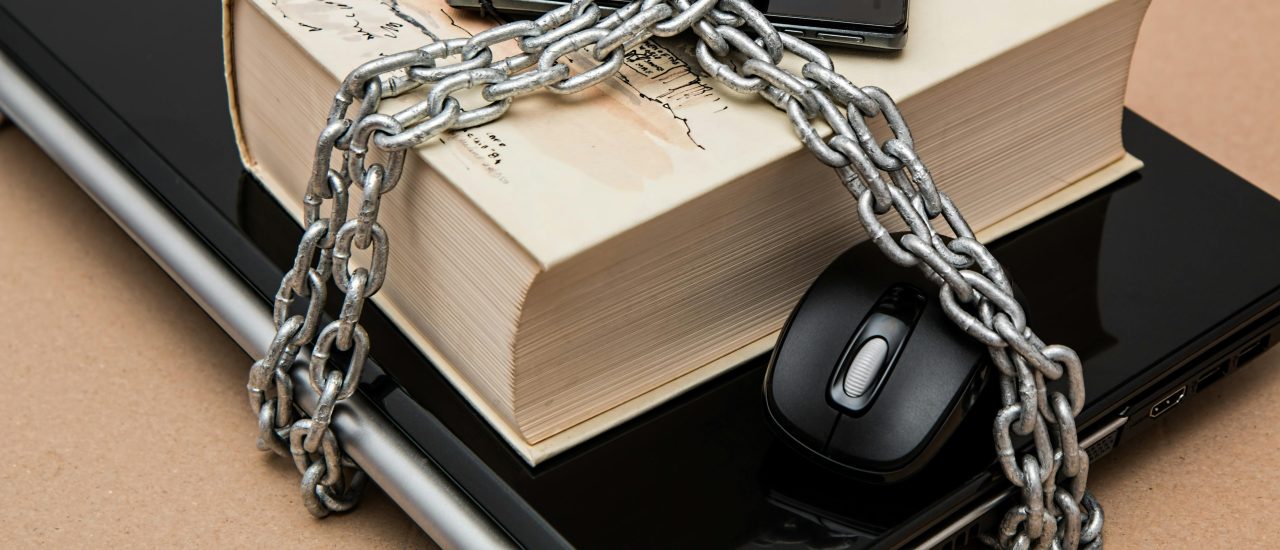 IP Protection in AI