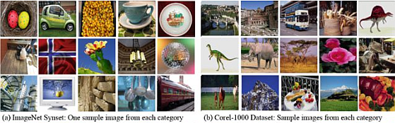 ImageNet's Synset Variety