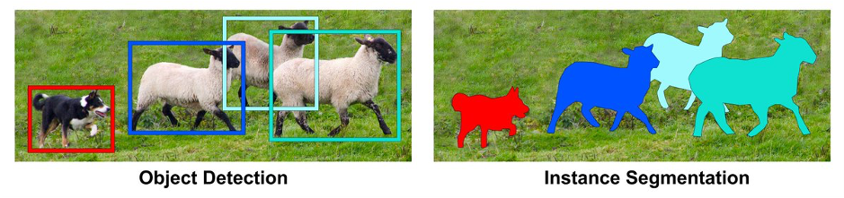 Object detection v/s image segmentation