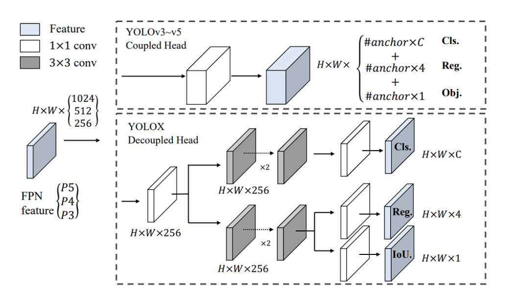 YOLOX uses decoupled head architecture for object detection.
