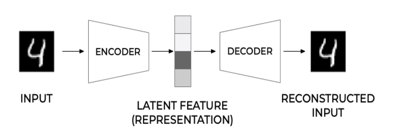 A diagram shwing autoencoder process