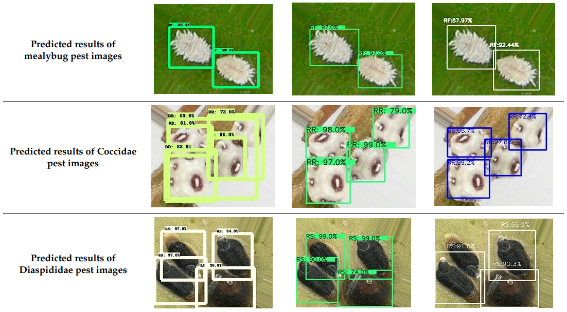 YOLOX object detection applied to agriculture