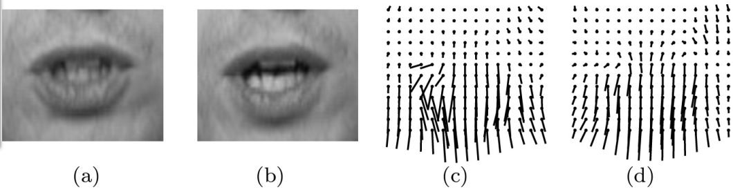 Illustration of how an optical flow system might interpret flow fields using the dense optical flow method or deep learning method