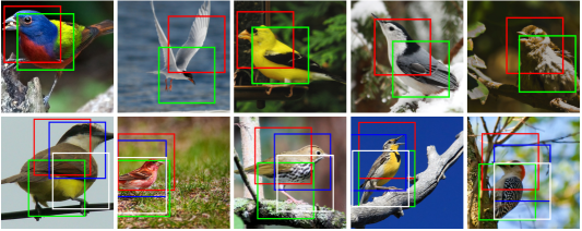 A grid of images showing the object boundaries produced over the images of birds. Specifically, it shows the transformation predicted by the spatial transformers of 2×ST-CNN (top row) and 4×ST-CNN (bottom row).