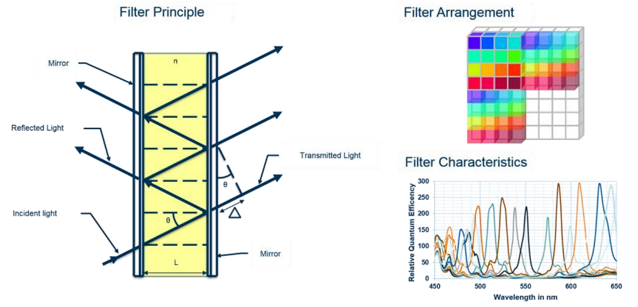 filter on chip multispectral imaging