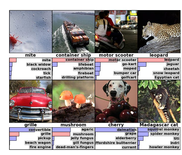 classification of images by DL model