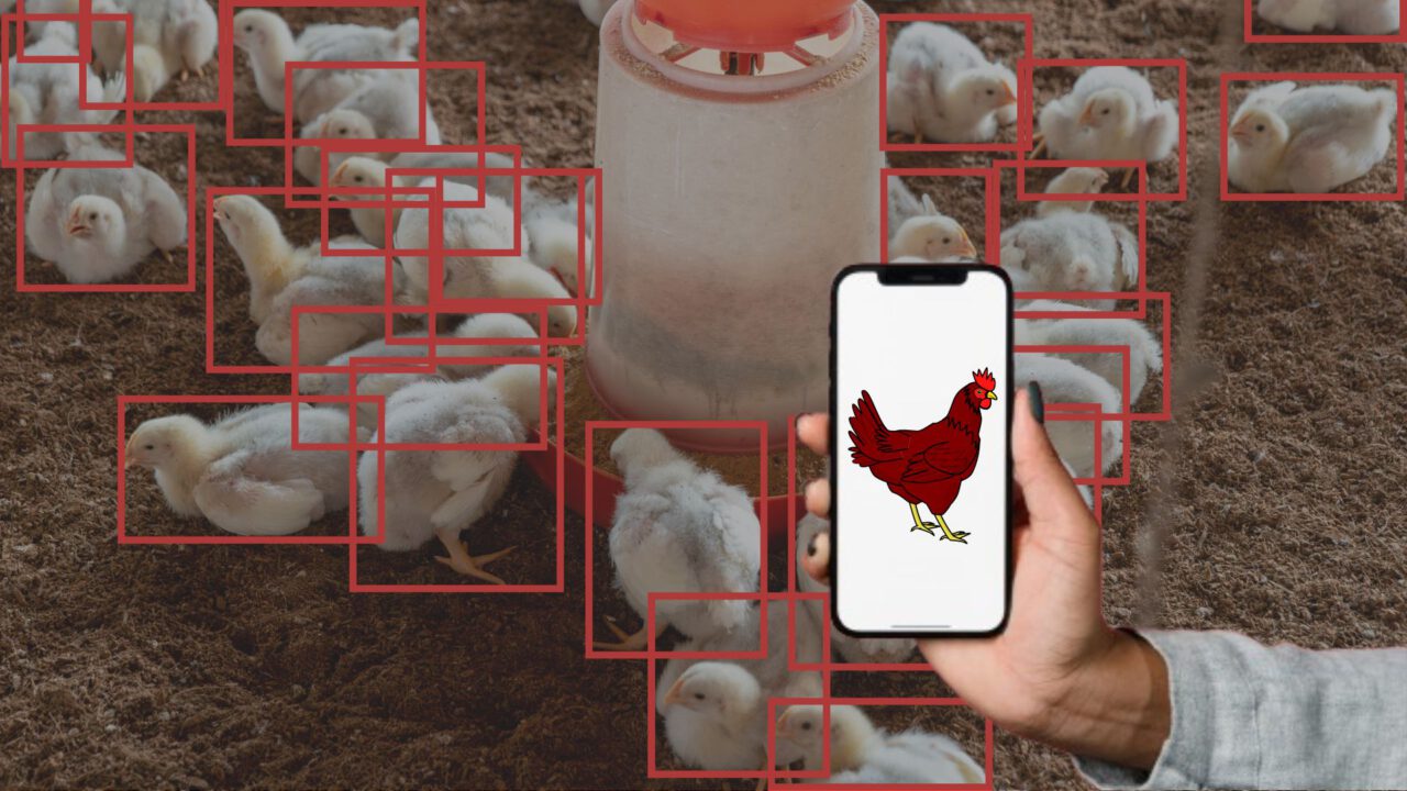 promptable object detection