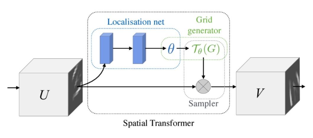 A basic representation of a spatial transformer network architecture. From the left, input features are fed into a localization net before being fed to a grid sampler. It then produces the warped output feature.