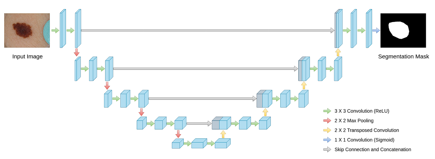 diagram of U-Net architecture
