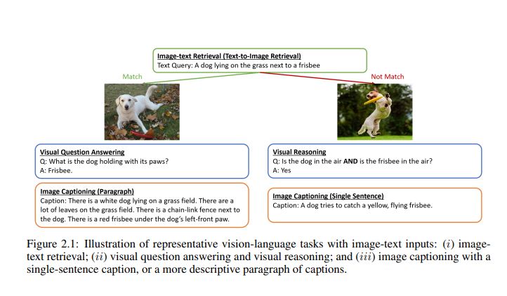 Image-Text tasks done by vision language models
