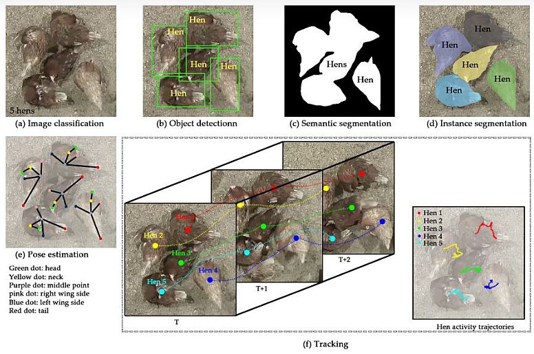 IF in Agricultural Remote Sensing