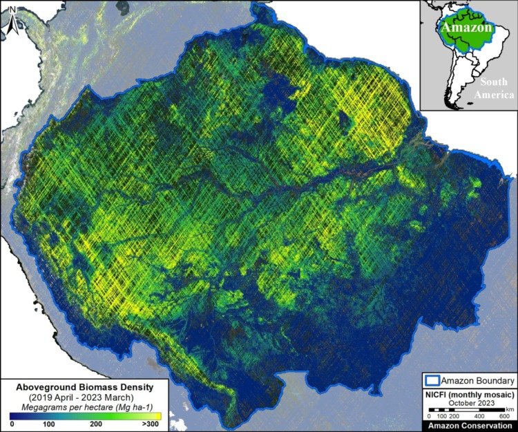 A satellite image of the Amazon Rain Forest with a computer vision overlay showing the density of above ground carbon. 