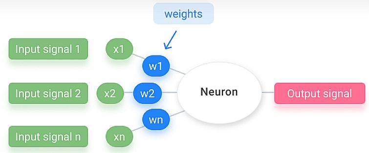 neural network model