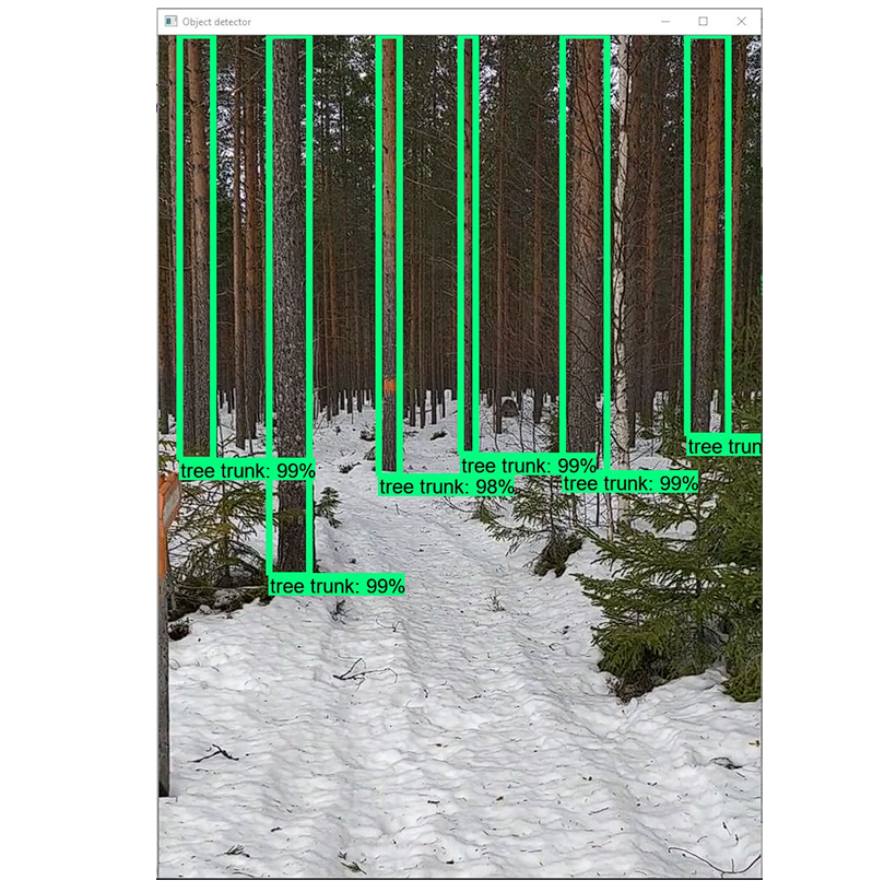 image showing tree detection