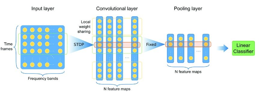 Architecture of spiking neural network (SNN)
