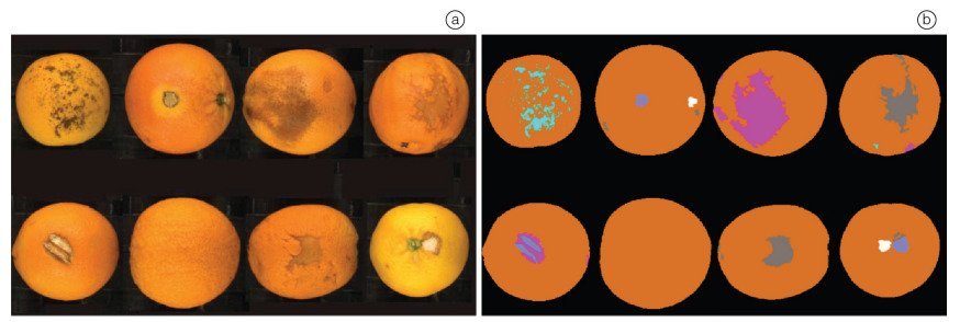Quality control AI system detecting fruit defects