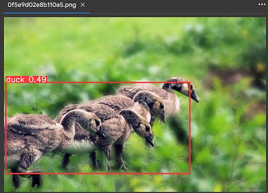 animal detection with YOLOv8, under the AGPL3.0 license