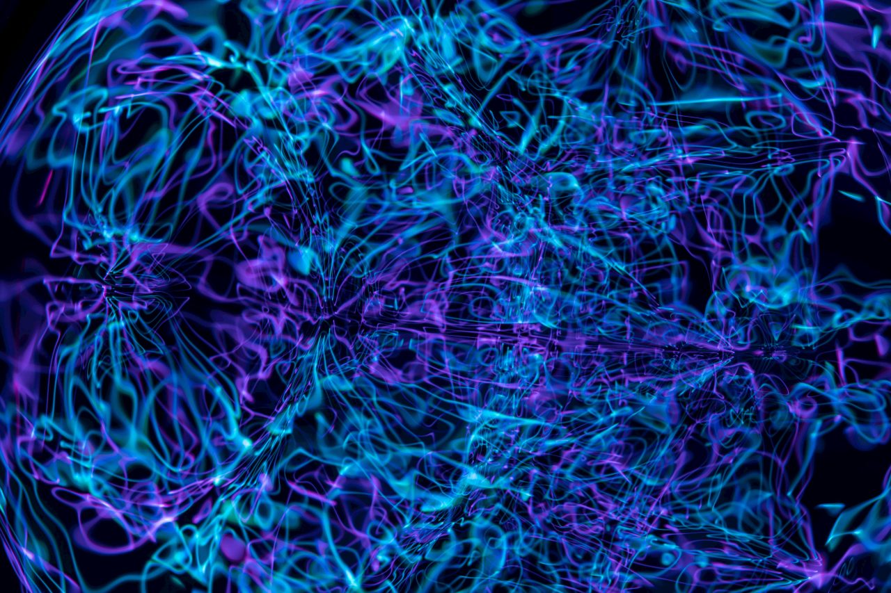 biomimicry and computer vision