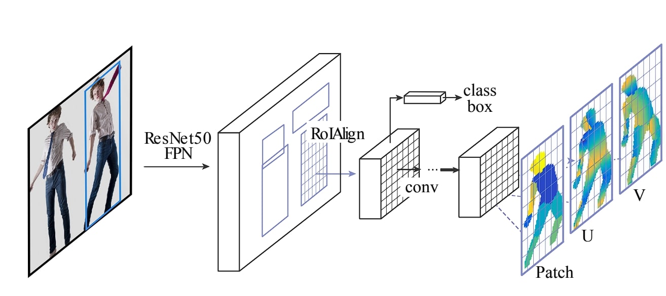 densepose architecture