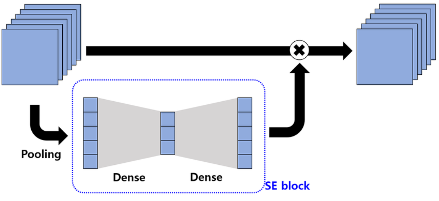 SE network 