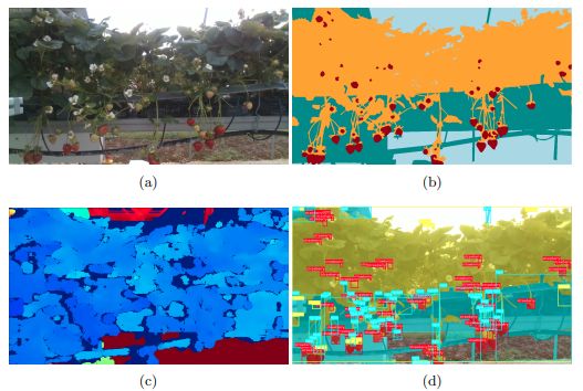 Image annotation – from original image to bounding boxes