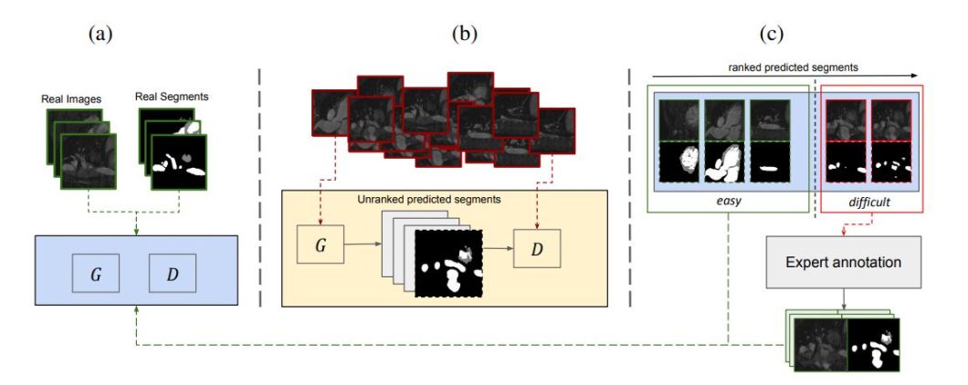 Human-in-the-loop for medical imaging segmentation