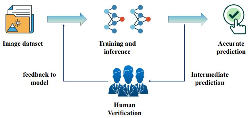 general human-in-the-loop frameworks in computer vision