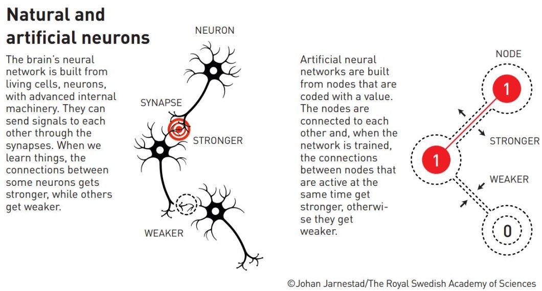 artificial neural networks and natural neural networks