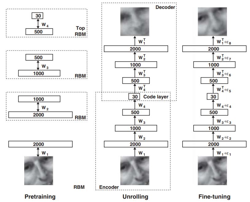 2024 Nobel Prize in Physics restricted Boltzmann machine in autoencoders