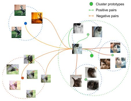 Contrastive methods on clusters