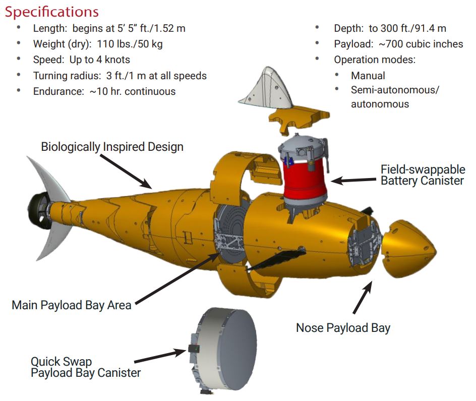 Autonomous Underwater Vehicles Environmental Monitoring 