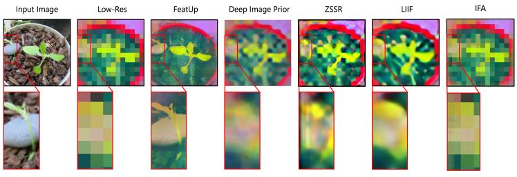 Comparison of image super-resolution methods using Deep Image Prior