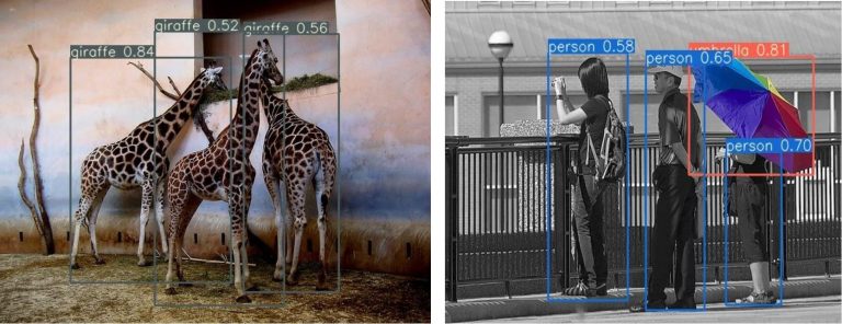 object detection model showing giraffe and person